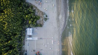 forest and people on the beach