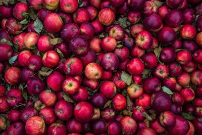 pile of apples with leaves