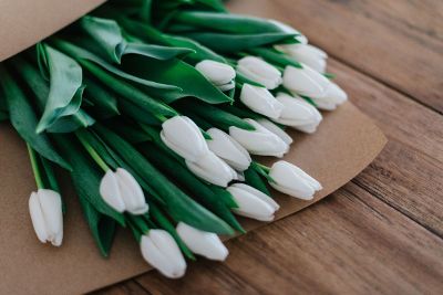 bunch of white tulips