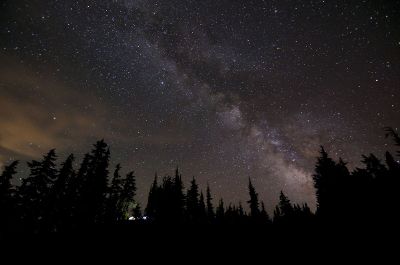 constellation over forest
