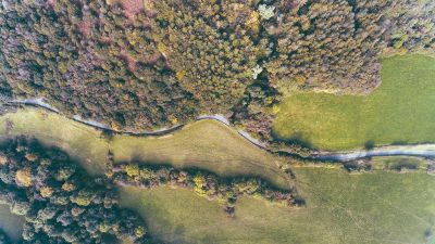 river flowing through wild nature