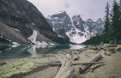 people enjoying national park