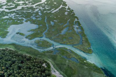 aerial view of wetlands