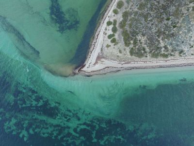 beach and shallow waters in ocean