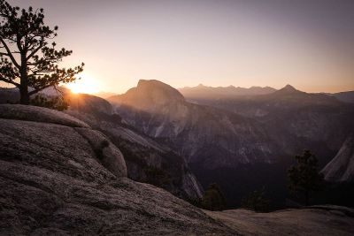 sunset on single tree on top of mountains