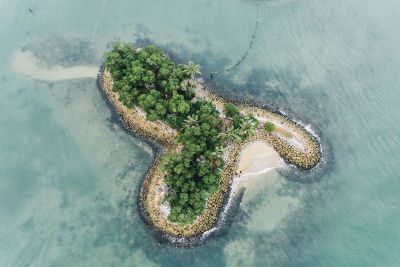 tropical island cluttered with trees