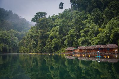 shacks at forest lake