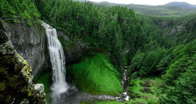 waterfall in green forrest