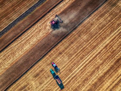 a farmer harvesting the field