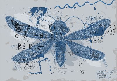blue dragonfly illustration