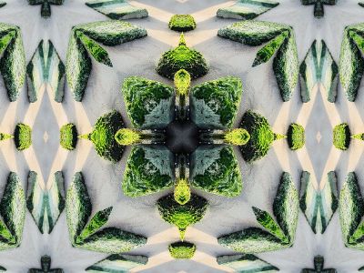 grass kaleidoscope pattern