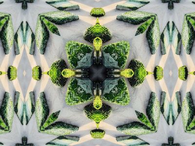 grass kaleidoscope pattern